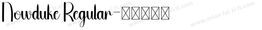 Nowduke Regular字体转换